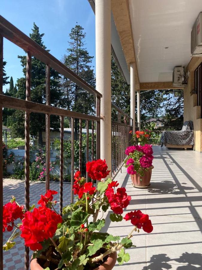 Mechta Guest House Tsandrypsh Εξωτερικό φωτογραφία